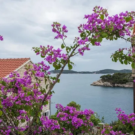 Amica Zaton (Dubrovnik-Neretva)