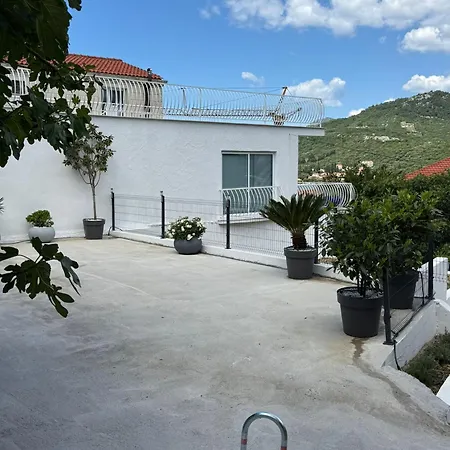 Amica Ferienhaus *