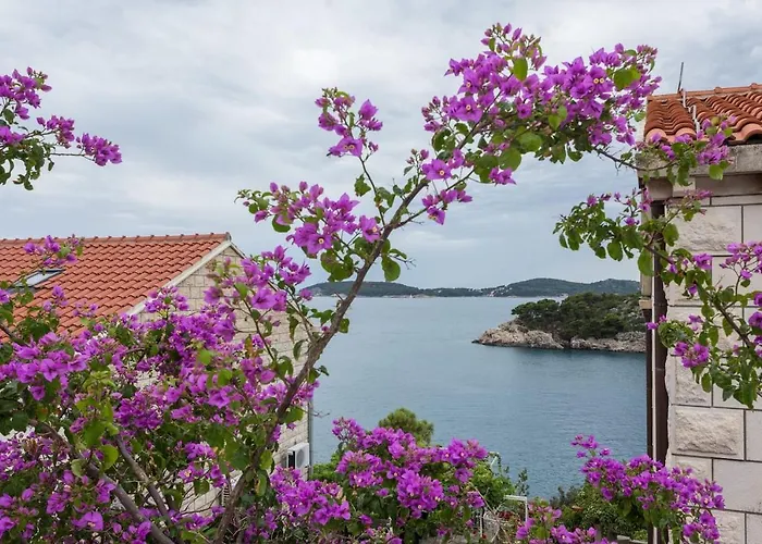 Amica Zaton (Dubrovnik-Neretva)